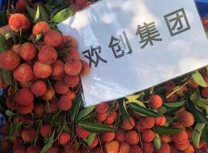 夏日好“枝”味，NBA集团官网NBA集团官网NBA集团官网NBA集团官网首页-NBA(中国)-NBA(中国)
集团发福“荔”啦